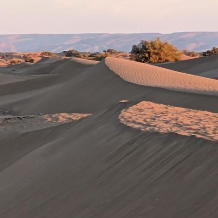 Bed and Breakfast Camp Iguidi Tours M’hamid El Ghizlane Exterior foto