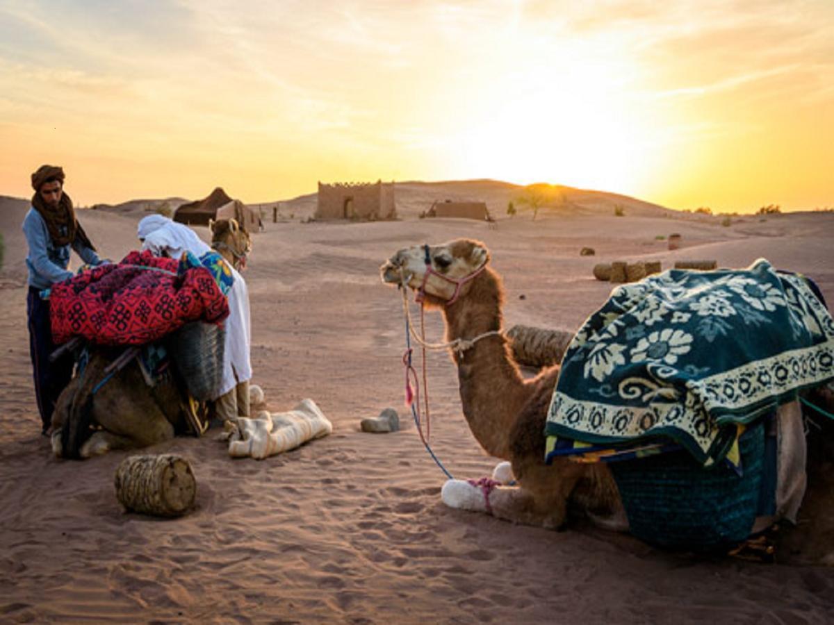 Bed and Breakfast Camp Iguidi Tours M’hamid El Ghizlane Exterior foto
